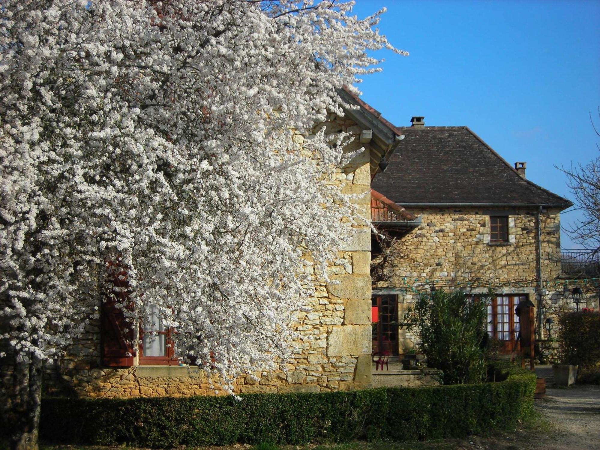 Hotel Chastrusse Nadaillac-de-Rouge 외부 사진